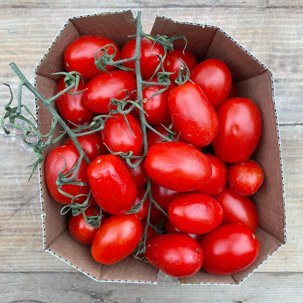 Red Datterino Tomatoes