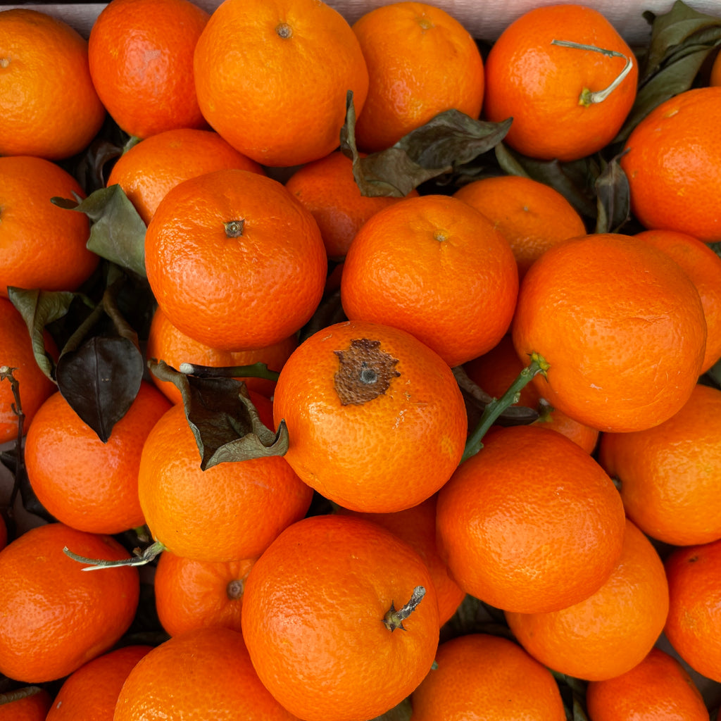 Clementines