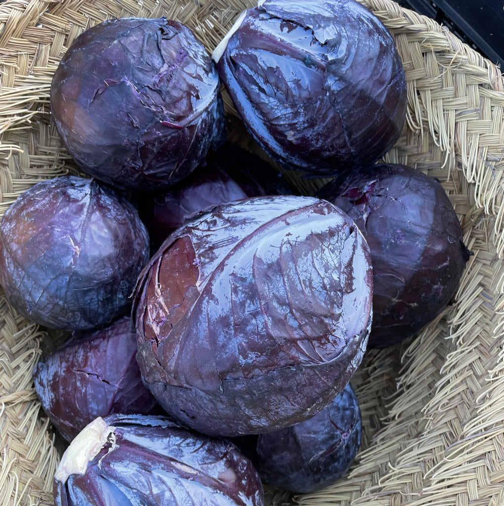 Red Cabbage