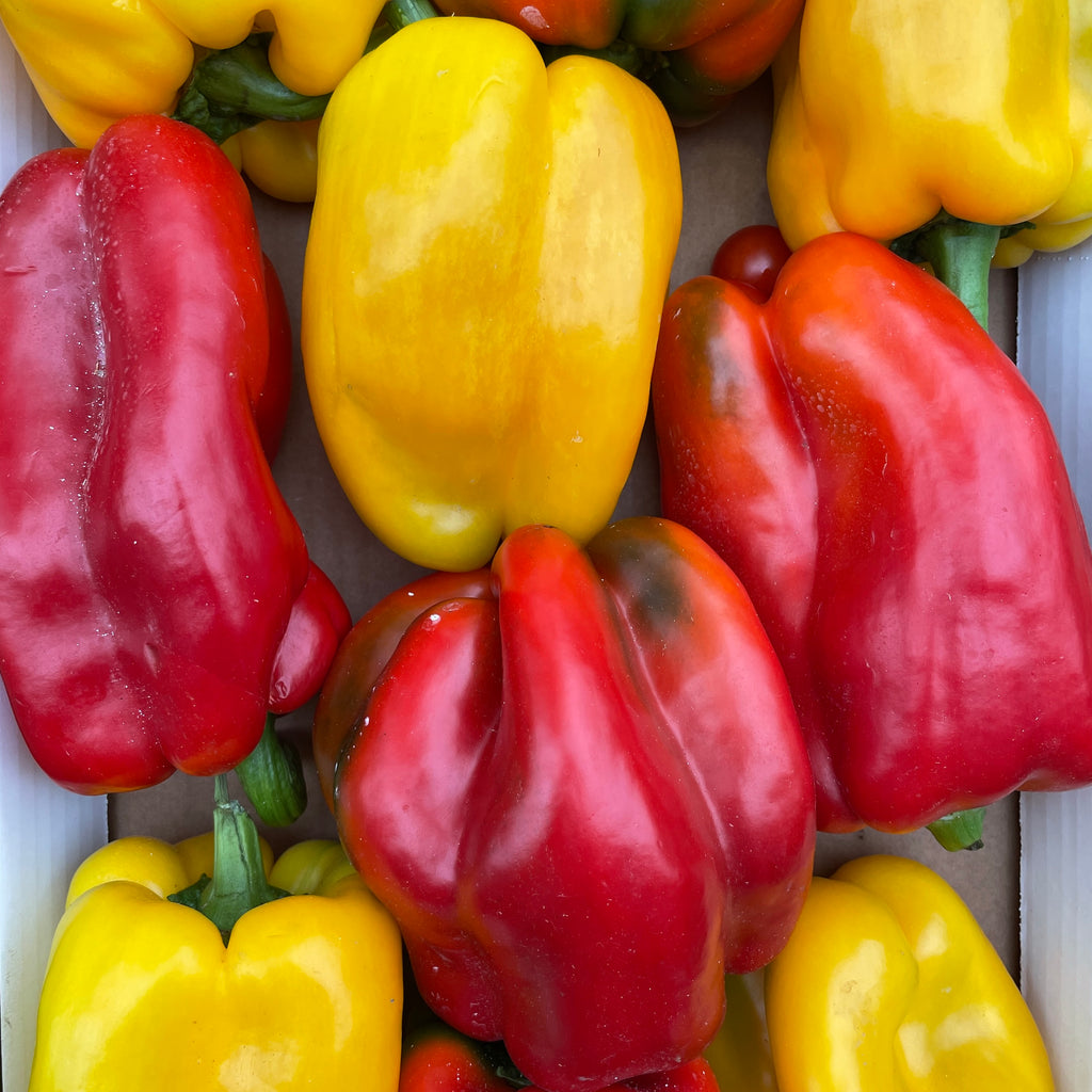 Italian Peppers